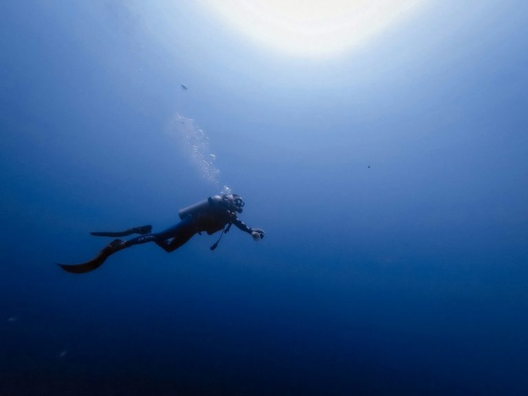 Building the Global Digital Backbone for Diving